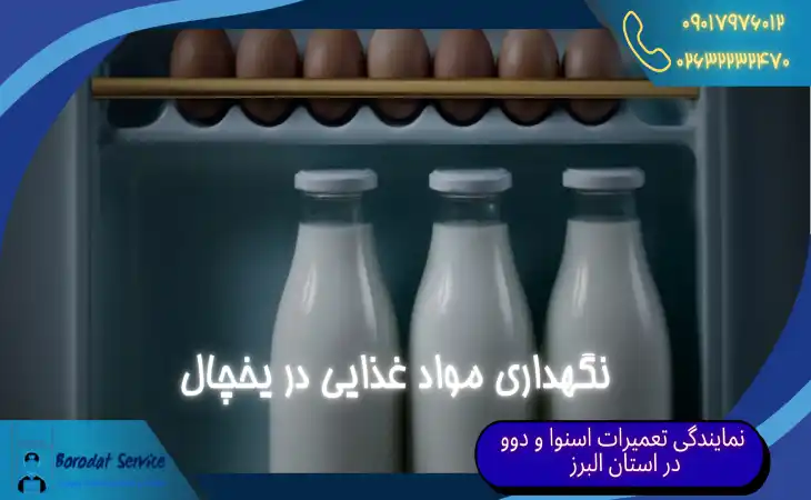  نگهداری مواد غذایی در یخچال |بهترین و بدترین مکان برای نگهداری شیر در یخچال 