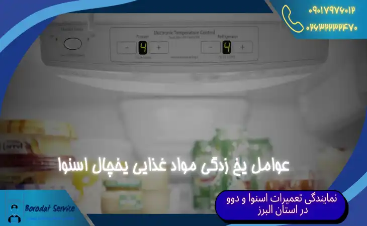  یخ زدگی یخچال اسنوا | عوامل یخ زدگی مواد غذایی یخچال اسنوا 