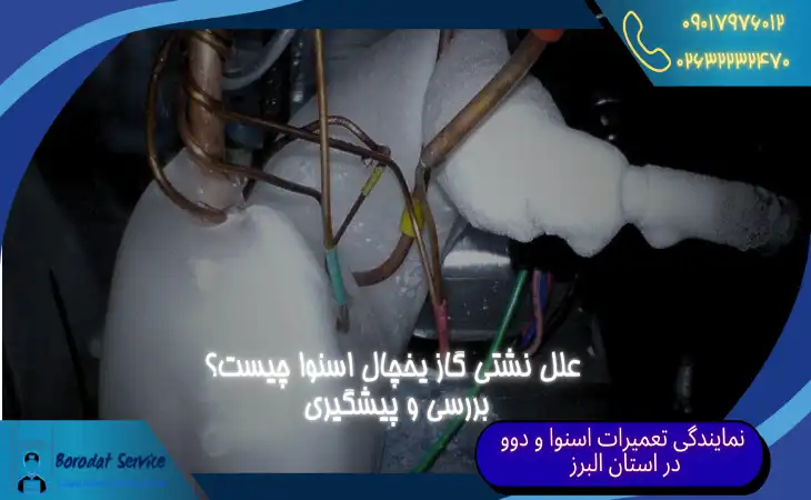  گاز یخچال اسنوا | علل نشتی گاز یخچال اسنوا چیست؟