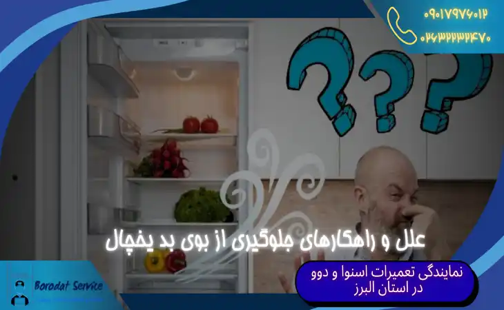  علل بوی بد یخچال | راهکارهای جلوگیری از بوی بد یخچال